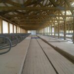 Строительство комплекса КРС с крышей на мзп