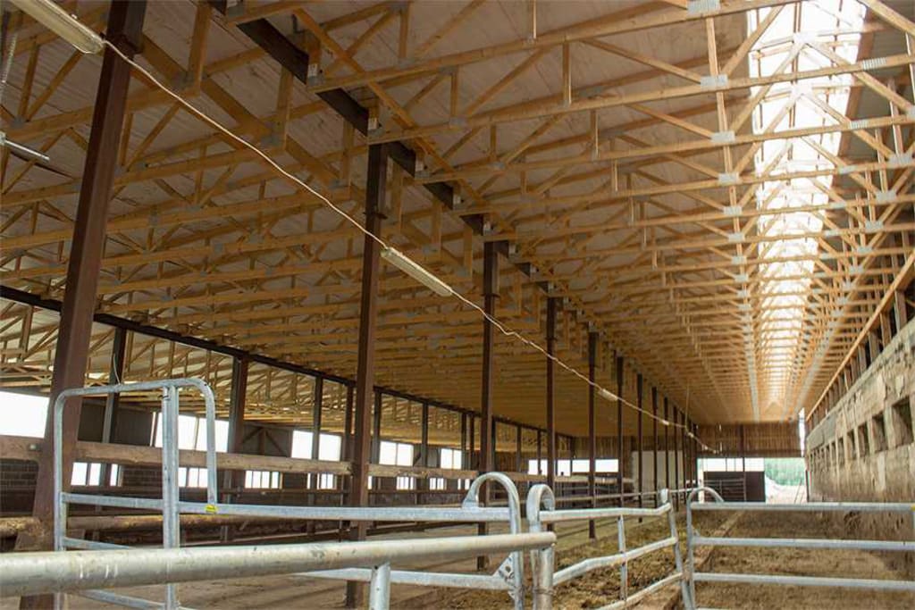 Коровник с крышей из ферм МЗП