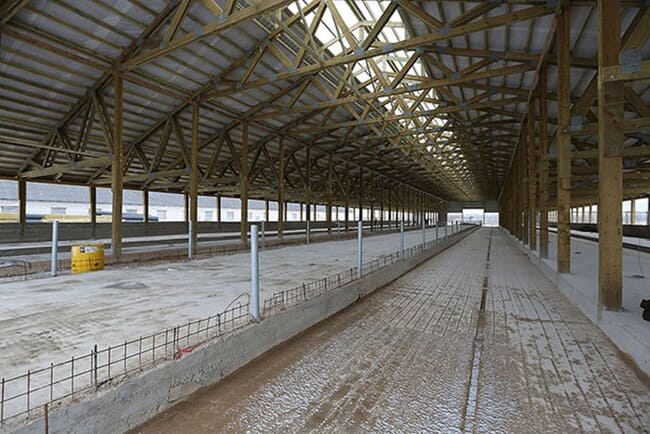 Крыша крупного комплекса КРС с фермами на мзп - завод ТуРай