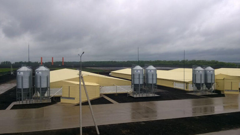 Готовый свинокомлпекс «Черкизово»