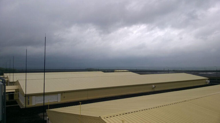 Синокомплекс «Черкизово»